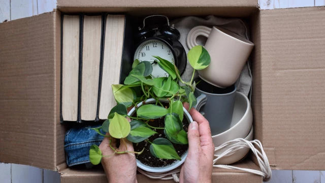 Downsizing Done Right: How to Simplify Your Life Without Compromising on Comfort